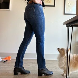 Madewell High Rise Slim Boyjean Size 24